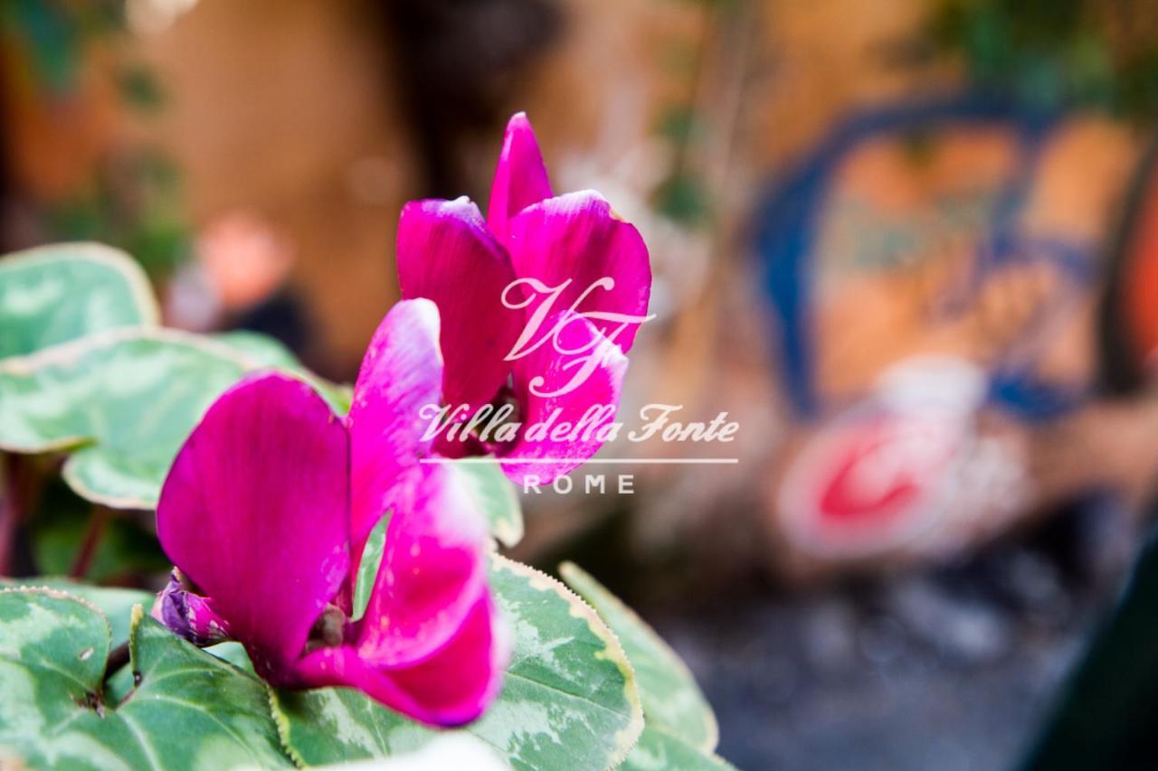 Couette-café Della Fonte Rome